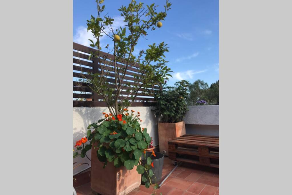 Casita Blanca Con Fibra Optica Y Piscina Cominutaria Villa Tossa de Mar Bagian luar foto